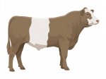 CStar BGx Dun Marked G3