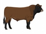 Sell Calf 10