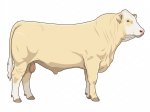 LOAK GR 3510 Lonestar Larry 83