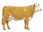 SVG BETTY BOO B640