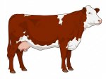 SVG DARLA D927