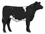 CStar MT 32670 G5