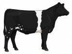 CStar MT Full Moon Cycle G3