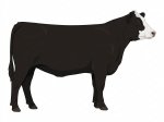 CStar RAx Black Leopard G15