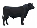 830